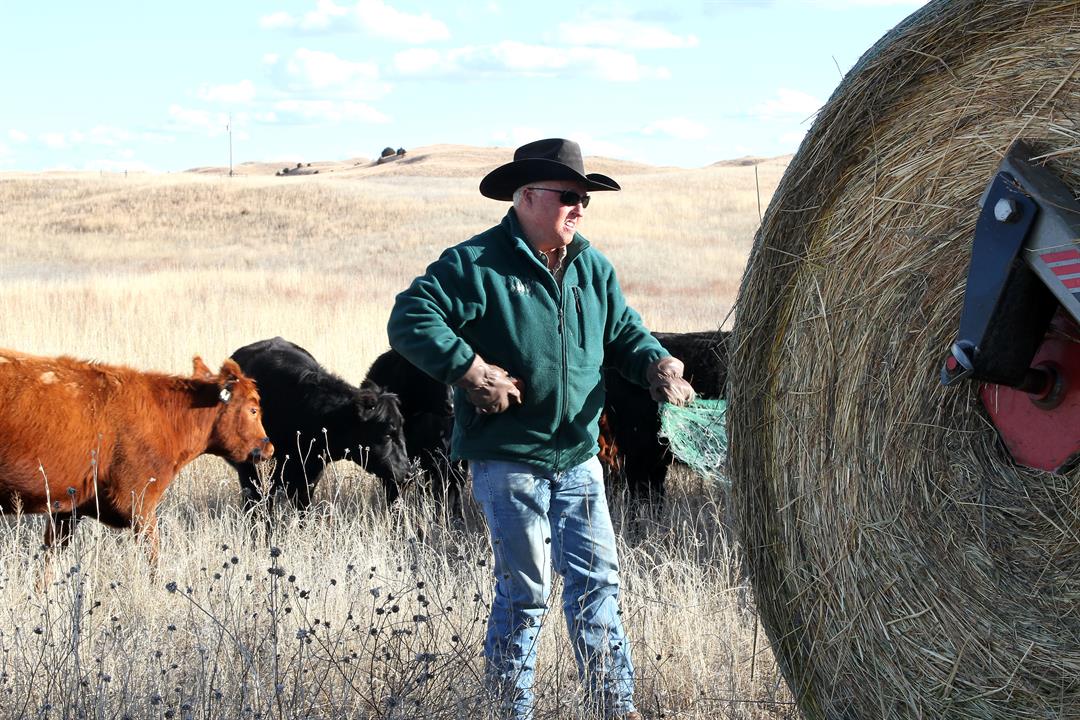 Power play: Project meant to move power through Nebraska Sandhills, across US stalls – for 12 years - Vimarsana News