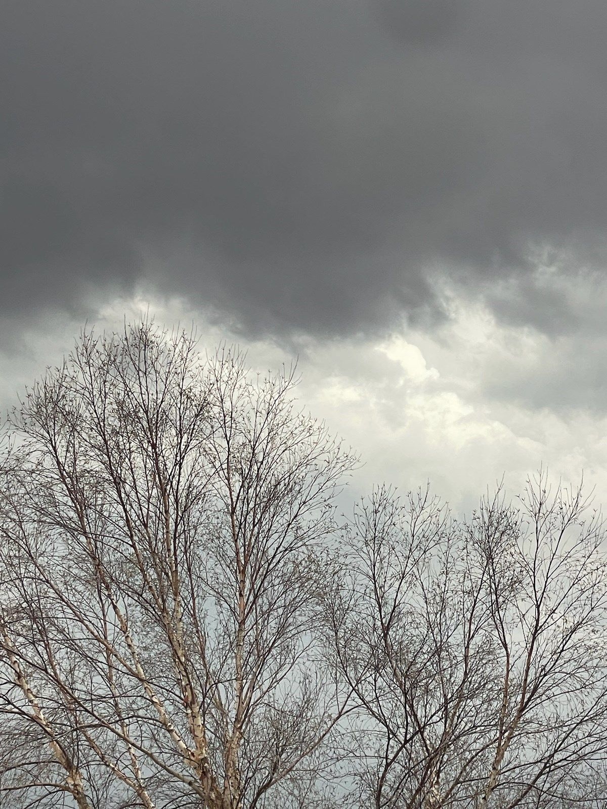 Electricity restored after lightning caused substation failure north of Valentine