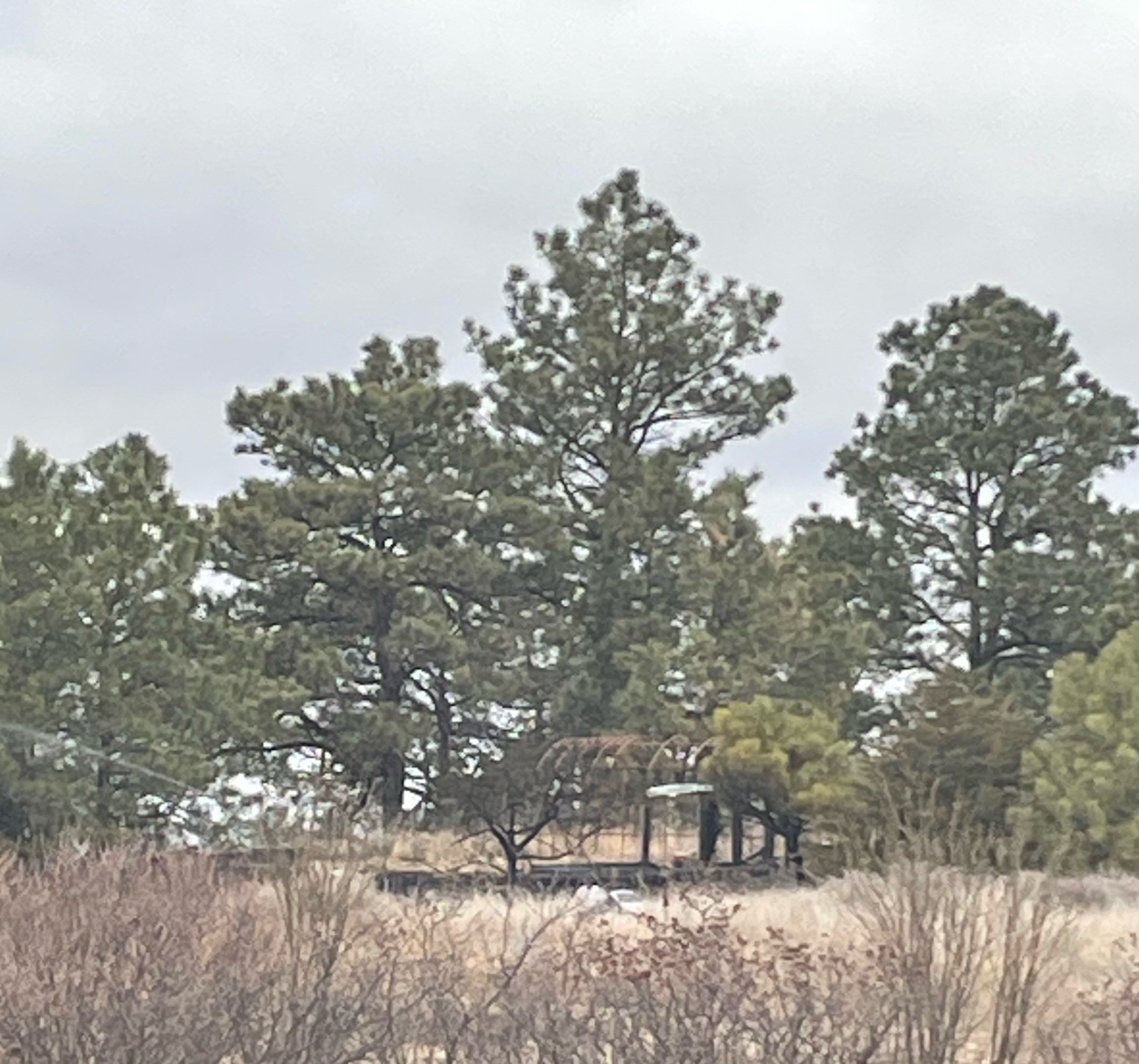 Fire east of Valentine