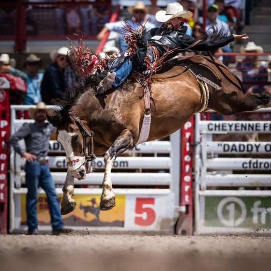 Courtesy: Garrett Shadbolt Facebook