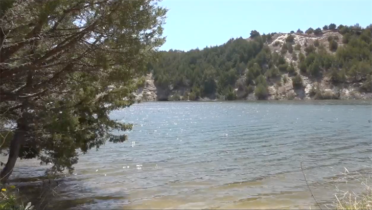 Tree removal to begin at Merritt Reservoir