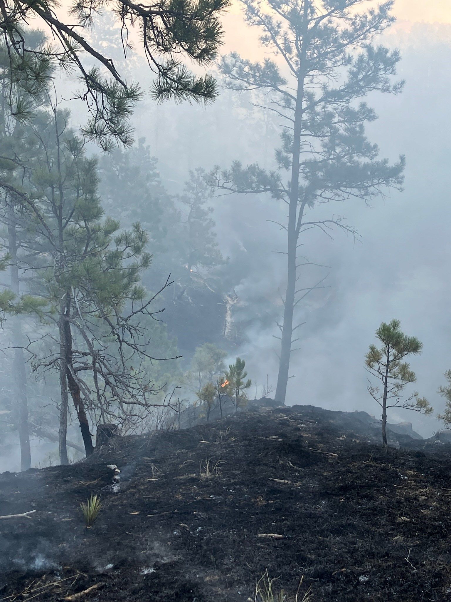 Courtesy: Gordon Fire Chief Rich Haller