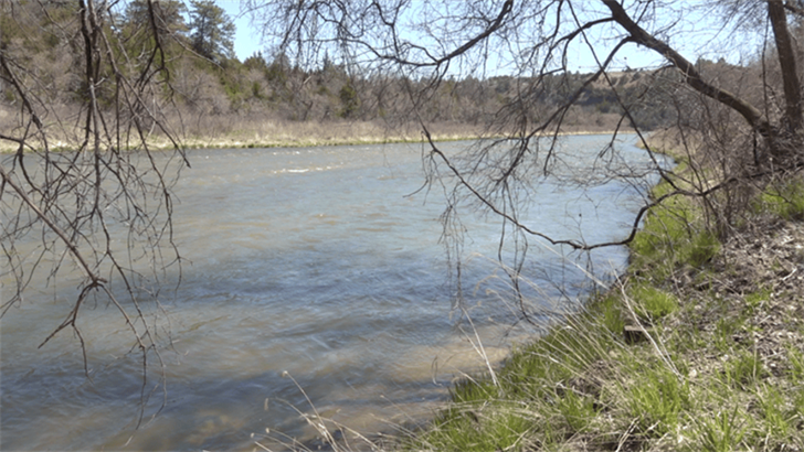 Volunteers needed for Valentine-area Christmas Bird Count