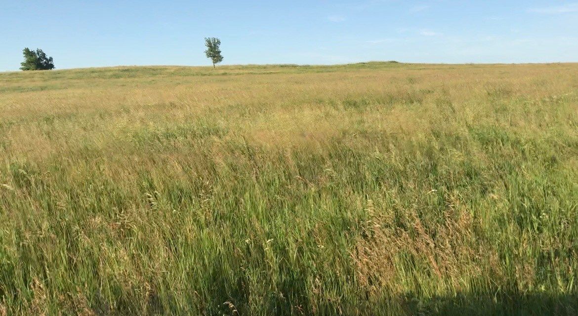 Generic farm picture