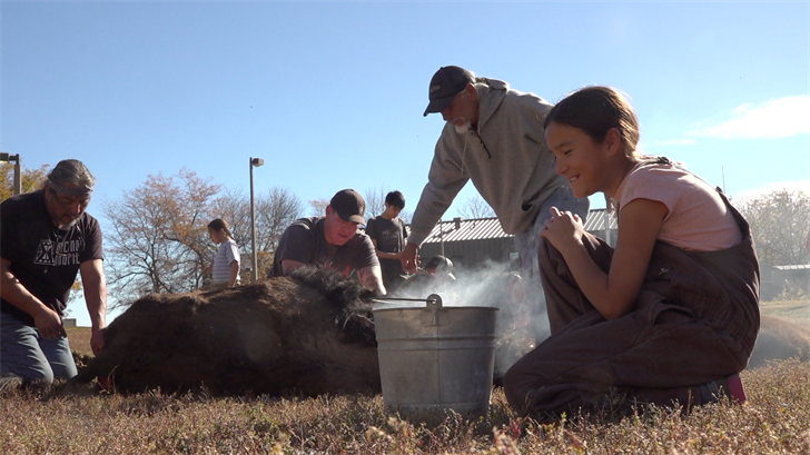 ‘Bring our people back’: Healing through bison harvest on Rosebud Reservation