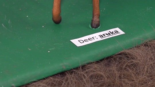 Valentine Native American Heritage Museum