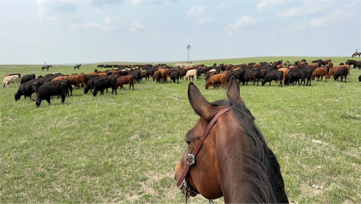 Pawnee Springs Ranch based in Lincoln County is headquartered along the North Platte River and has rangeland spanning north into the Sandhills of Nebraska. It now has new owners who want to maintain its cattle ranch and agricultural essence and over a mul