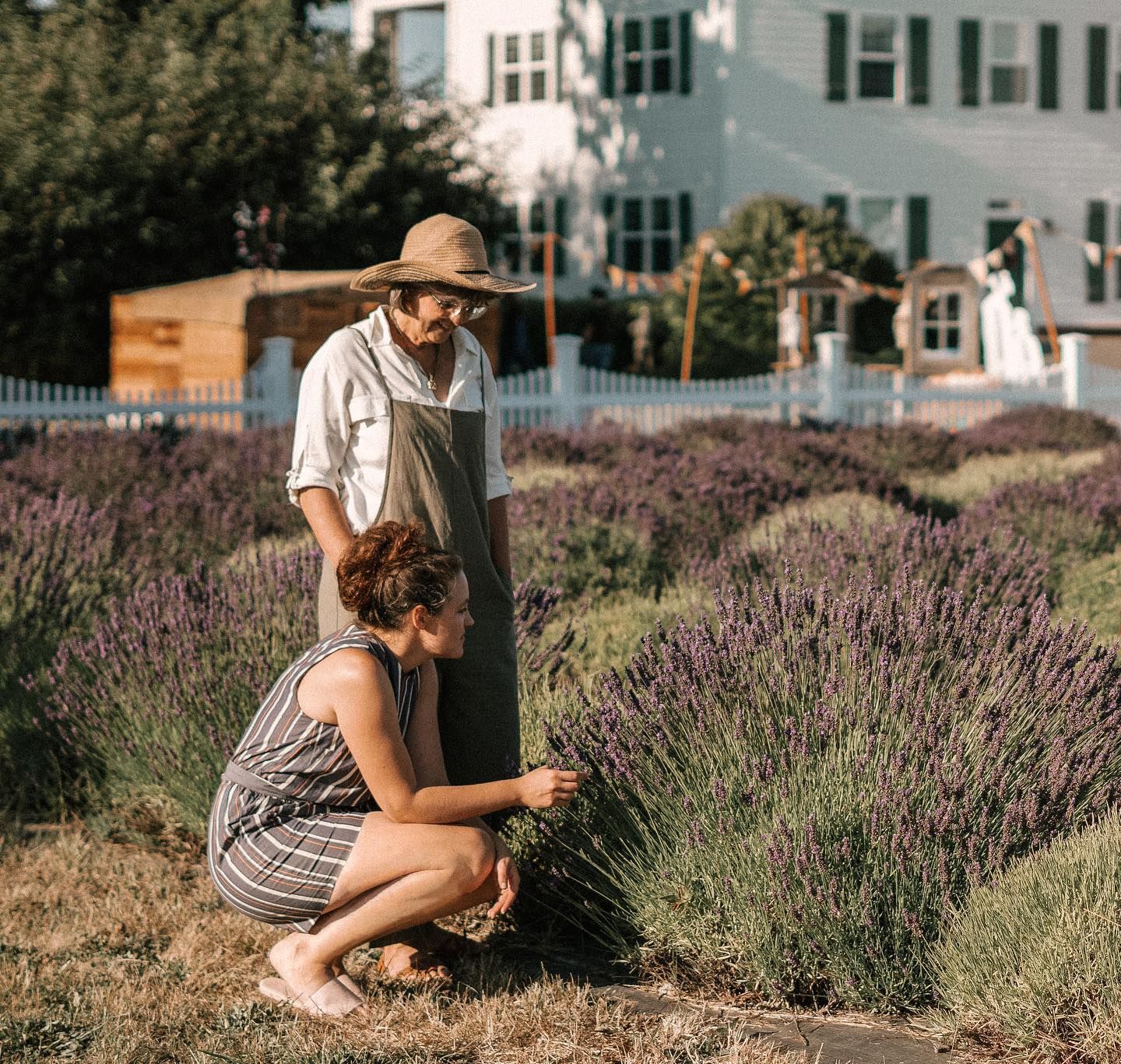 Lavender, bison and wine: Exploring alternative agriculture at Valentine conference